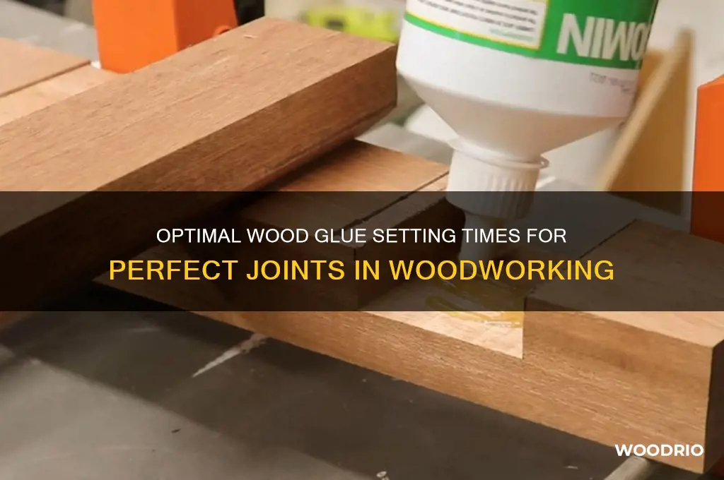 how long to let wood glue set between steps