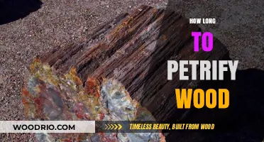 Petrifying Wood: Understanding the Timeframe for Fossilization Process