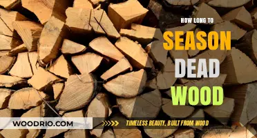 Mastering Dead Wood Seasoning: Optimal Time for Perfect Results