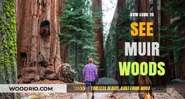 Exploring Muir Woods: Time Needed to Experience Its Majestic Beauty