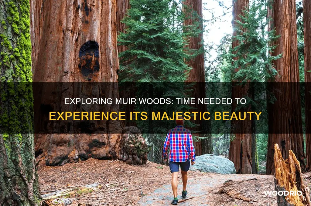 how long to see muir woods