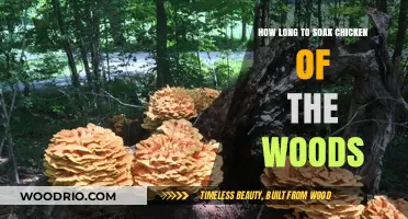Perfect Chicken of the Woods Soaking Time: Tips for Tender Mushrooms