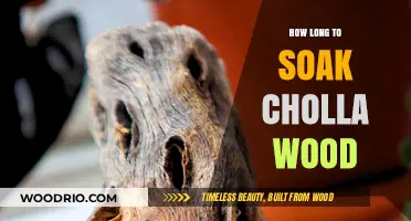 Perfect Soaking Time for Cholla Wood: Tips for Aquarium Enthusiasts