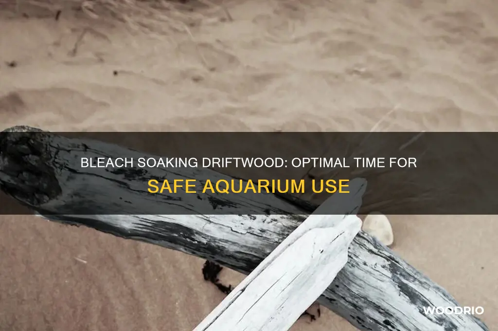 how long to soak drift wood in bleach