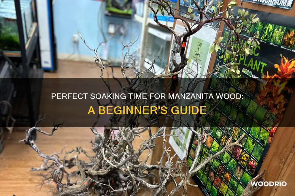 how long to soak manzanita wood