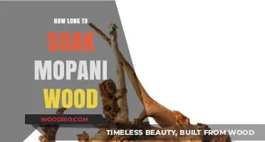 Perfect Soaking Time for Mopani Wood: Tips for Aquarium Enthusiasts