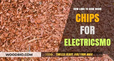 Mastering Electric Smoker Wood Chips: Optimal Soaking Time Guide