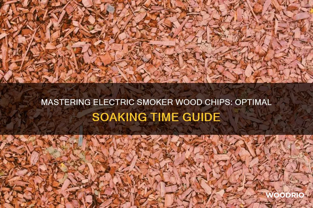 how long to soak wood chips for electricsmoker