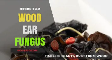 Perfect Soaking Time for Wood Ear Fungus: Tips and Tricks