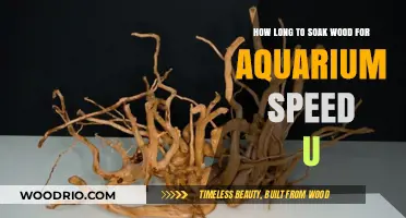 Optimal Wood Soaking Time for a Safe and Speedy Aquarium Setup