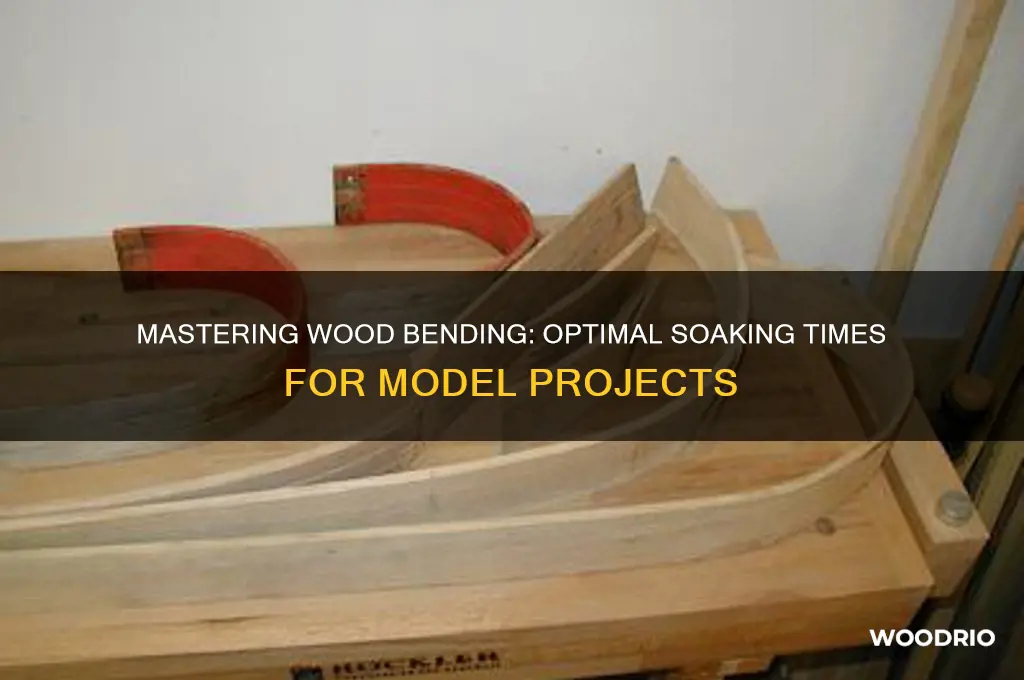 how long to soak wood for bending model projects