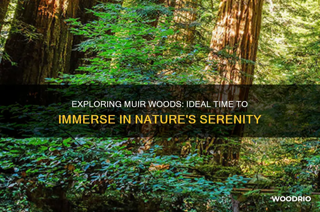 how long to spend at muir woods national monument