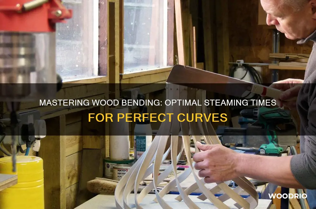 how long to steam wood for bending
