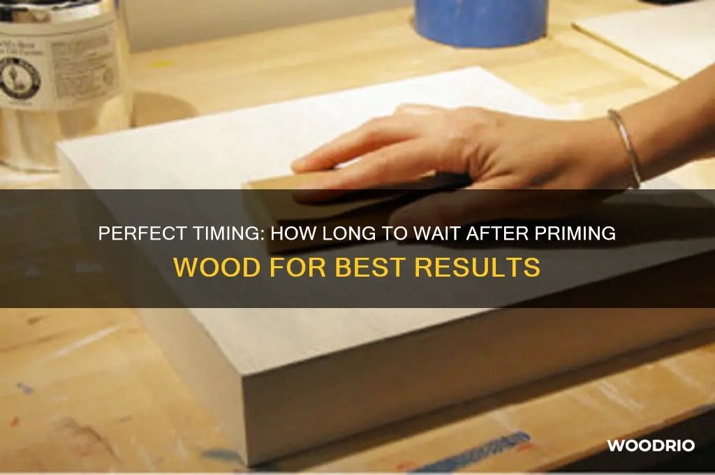 how long to wait after priming wood