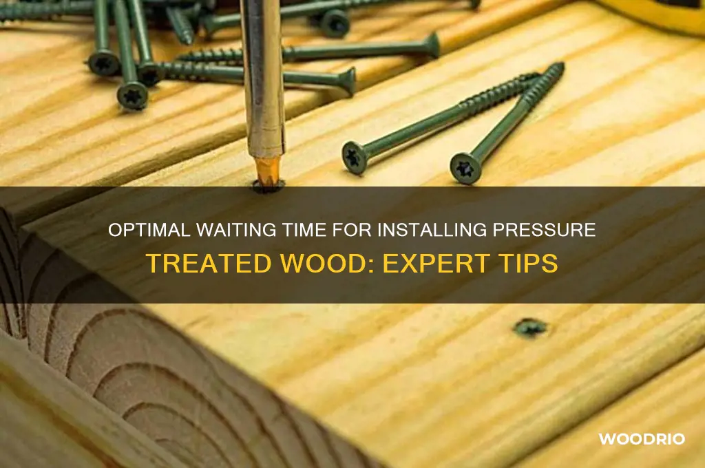 how long to wait before installing pressure treated wood