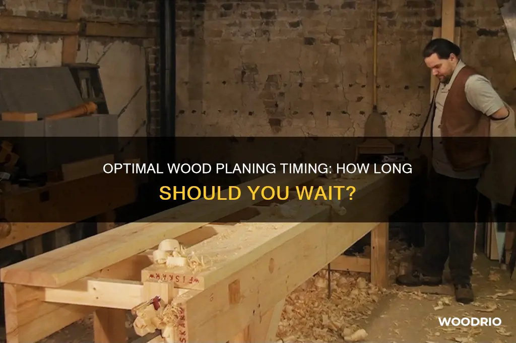 how long to wait before planing wood
