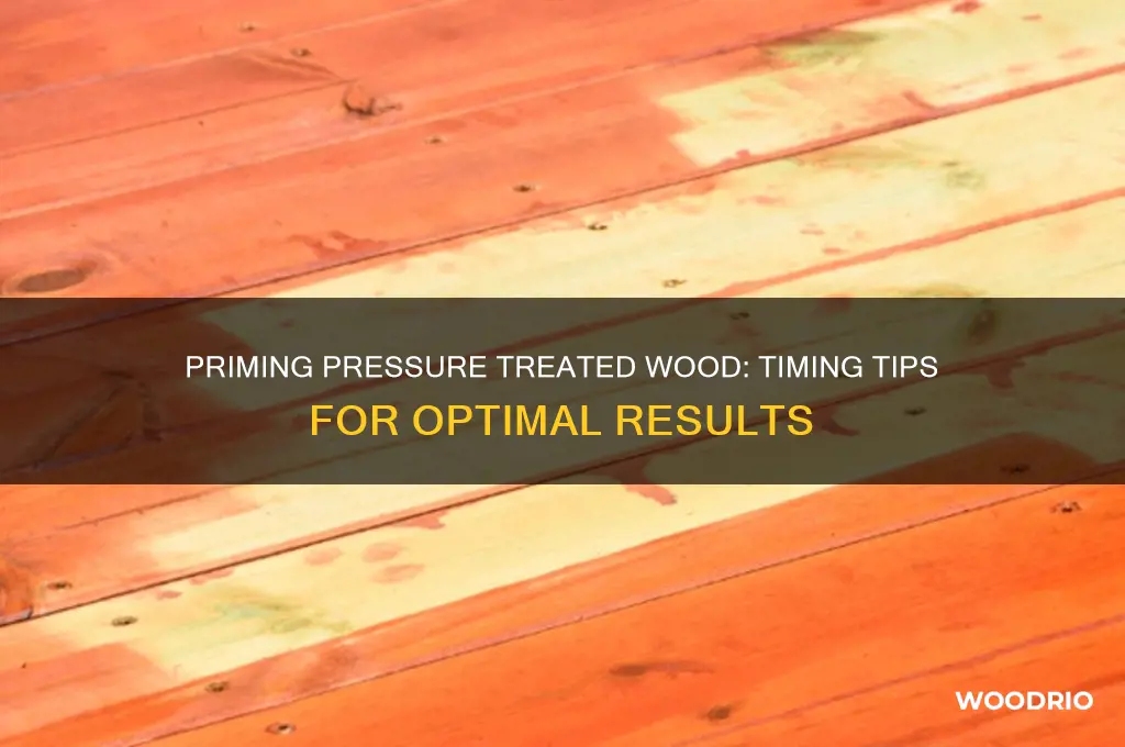 how long to wait before priming new pressure treated wood