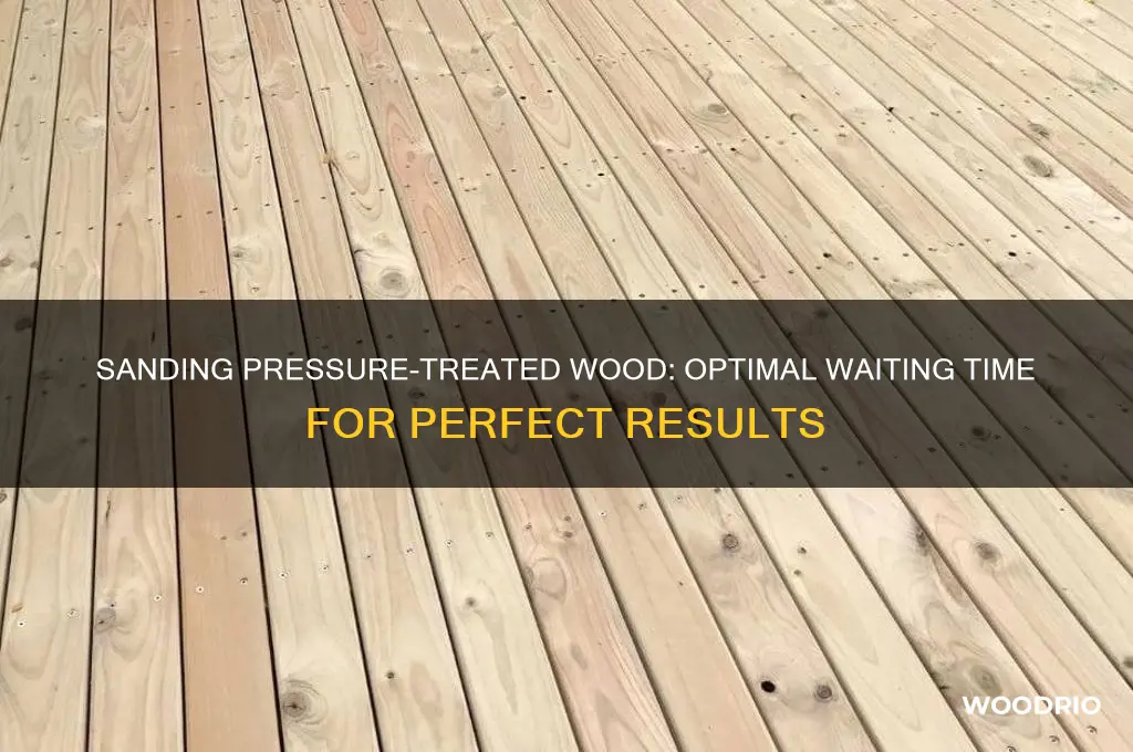 how long to wait before sanding pressure-treated wood