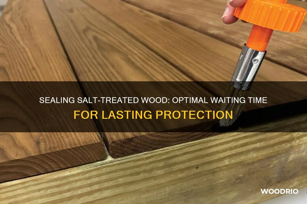 how long to wait before sealing salt treated wood