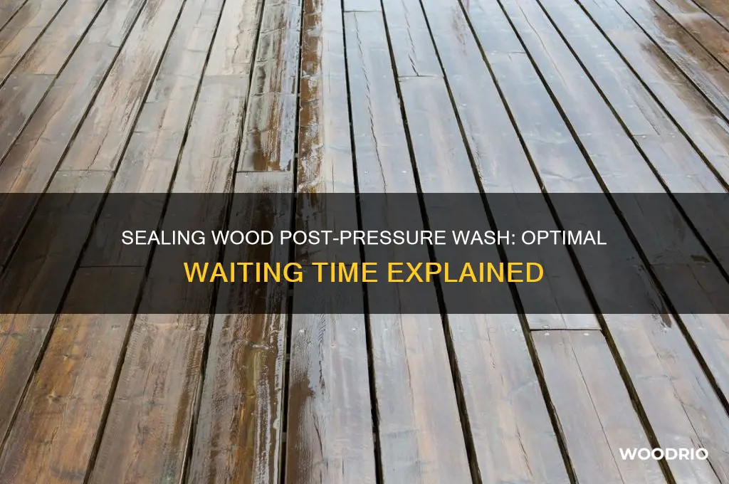 how long to wait before sealing wood after pressure washing