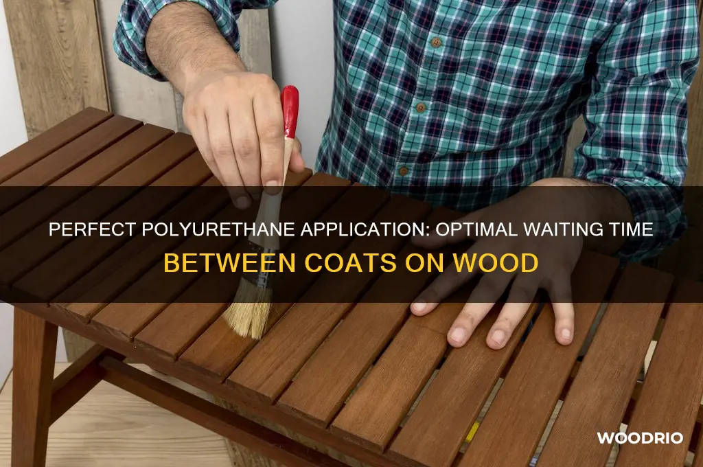 how long to wait between coats of polyurethane on wood