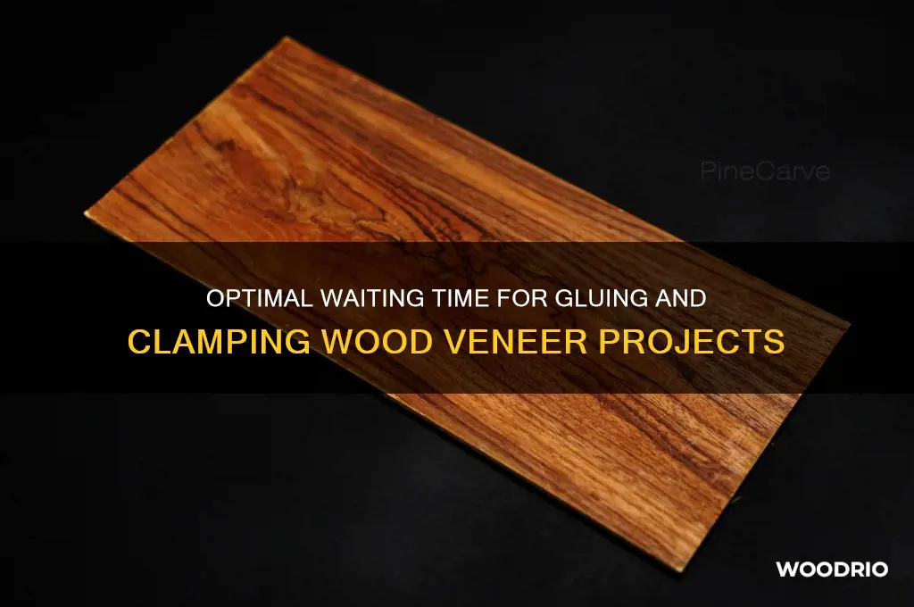 how long to wait for glue & clamping wood veneer