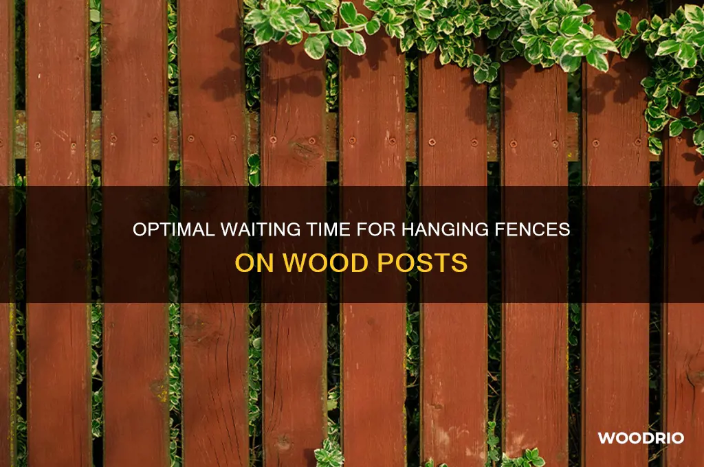 how long to wait to hang fence on wood posts