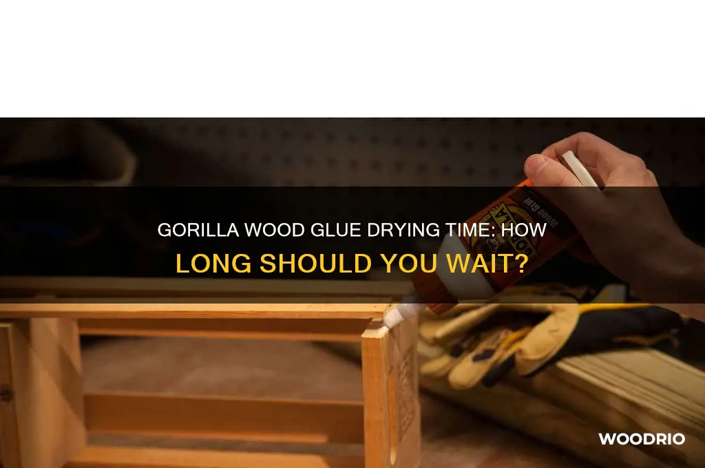 how long to wait until gorill wood glue dries