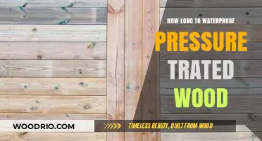 Waterproofing Pressure-Treated Wood: Essential Timing Tips for Longevity