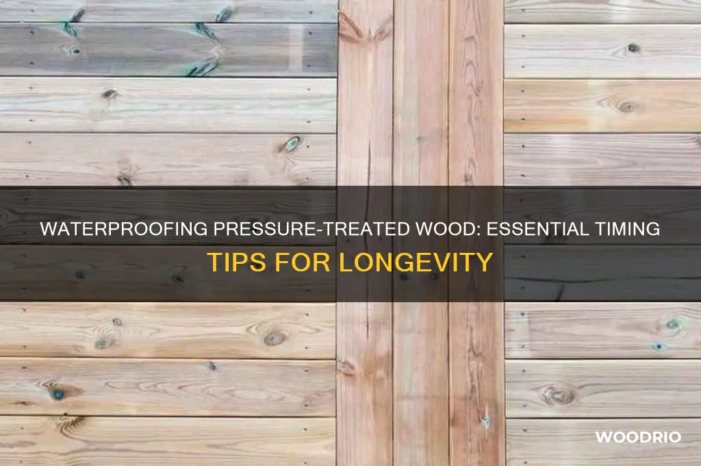 how long to waterproof pressure trated wood