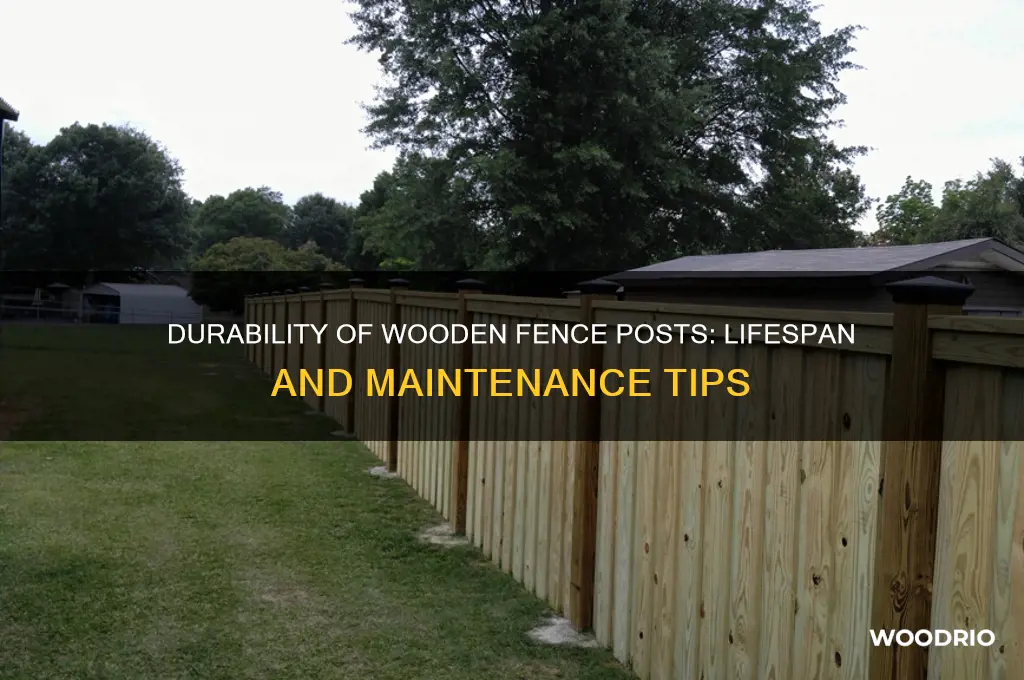 how long to wooden fence posts last