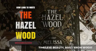 The Hazel Wood Writing Journey: Time, Creativity, and Dedication Explored