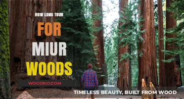 Exploring Muir Woods: Ideal Tour Duration for an Unforgettable Experience