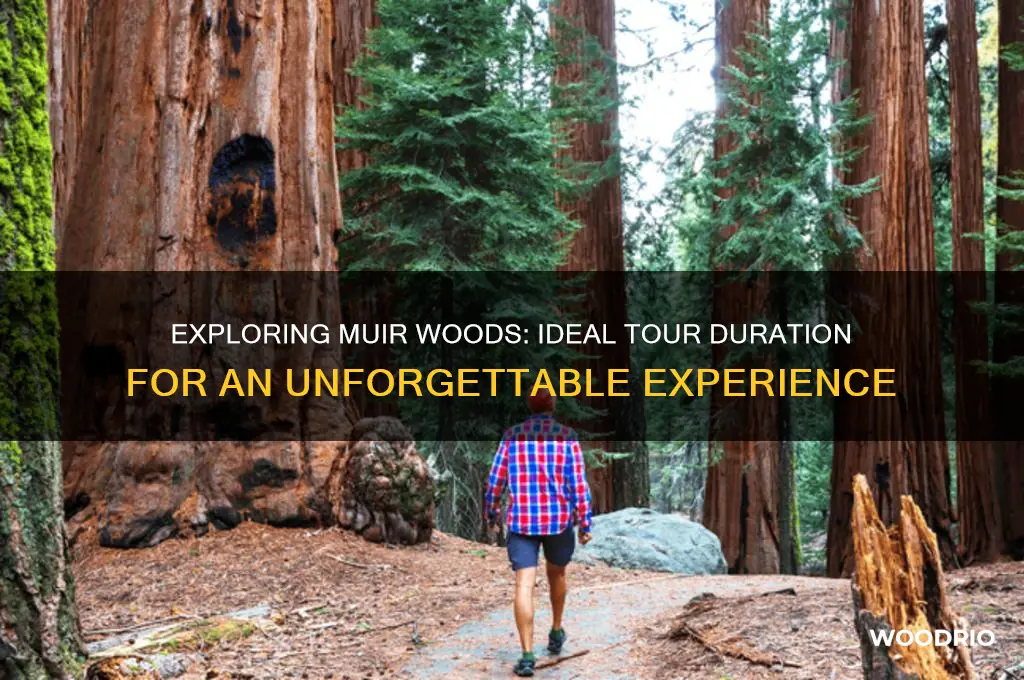 how long tour for miur woods