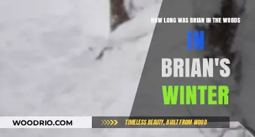 Brian's Winter Survival: How Long Did He Endure the Wilderness?