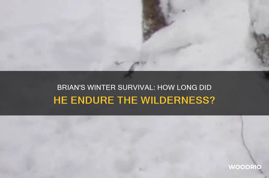 how long was brian in the woods in brian