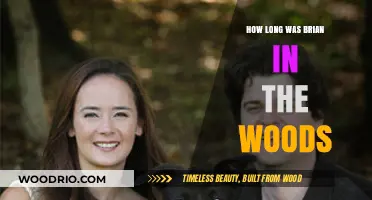 Brian's Survival: Unraveling the Length of His Time in the Woods