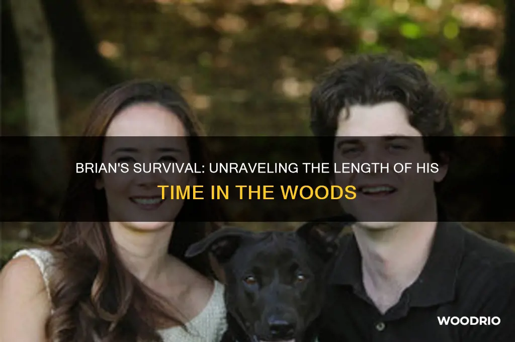 how long was brian in the woods