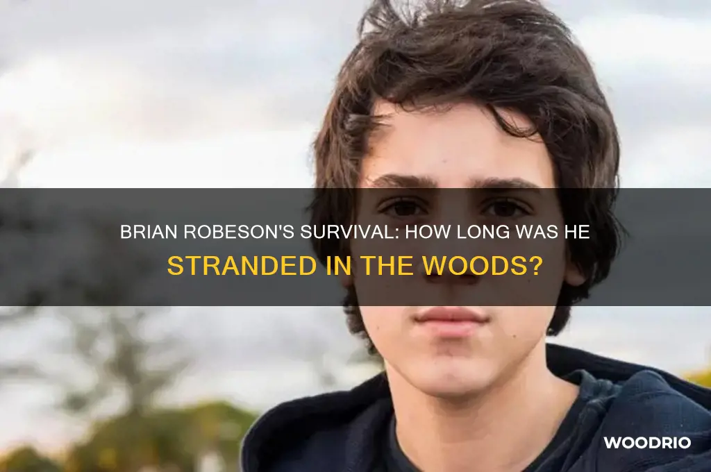 how long was brian robeson in the woods