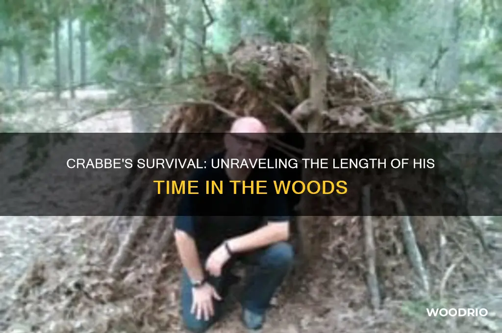 how long was crabbe in the woods
