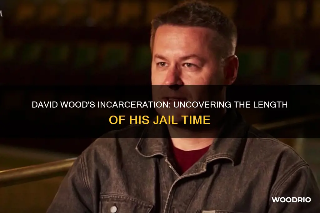 how long was david wood in jail