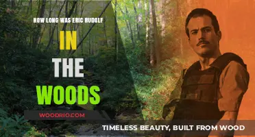 Eric Rudolph's Evasion: Years Hidden in the Appalachian Wilderness