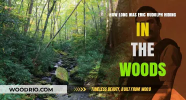 Eric Rudolph's Elusive Escape: Years Hidden in the Wilderness