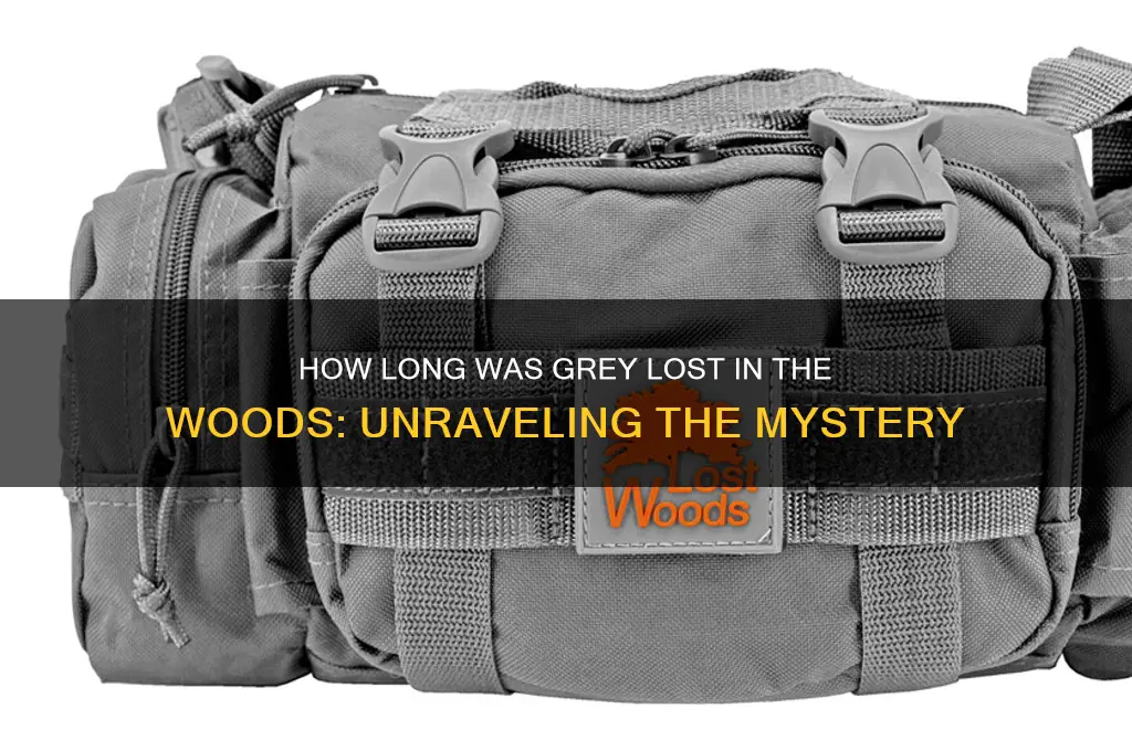 how long was grey in the woods