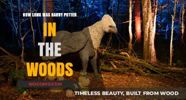 Harry Potter's Time in the Woods: A Detailed Timeline