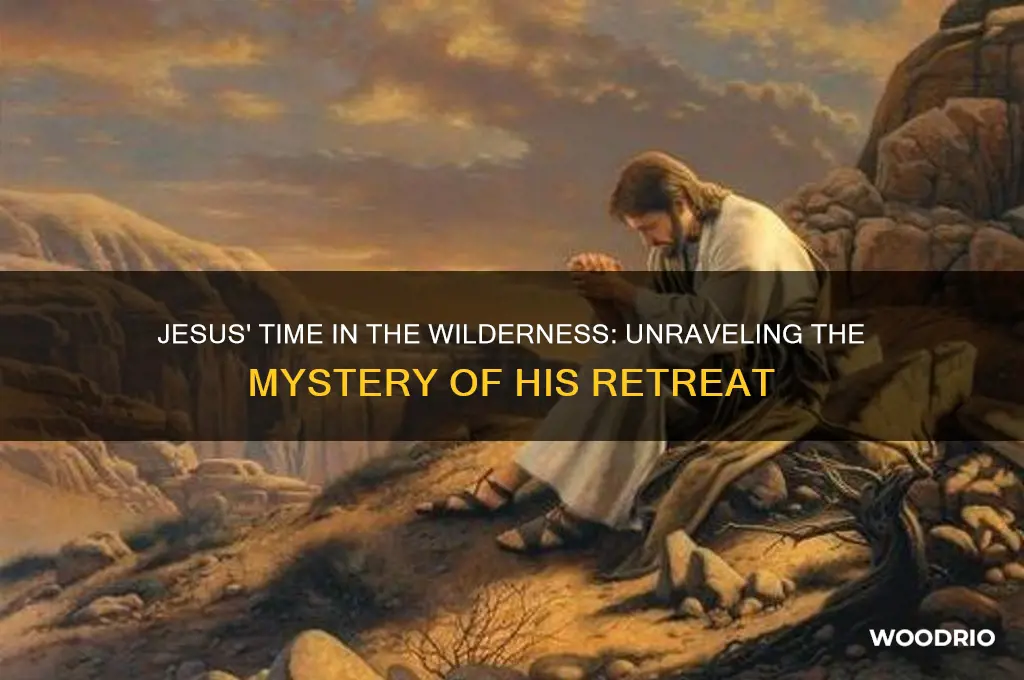 how long was jesus in the woods