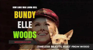 Laura Bell Bundy's Iconic Elle Woods Journey: Duration and Impact