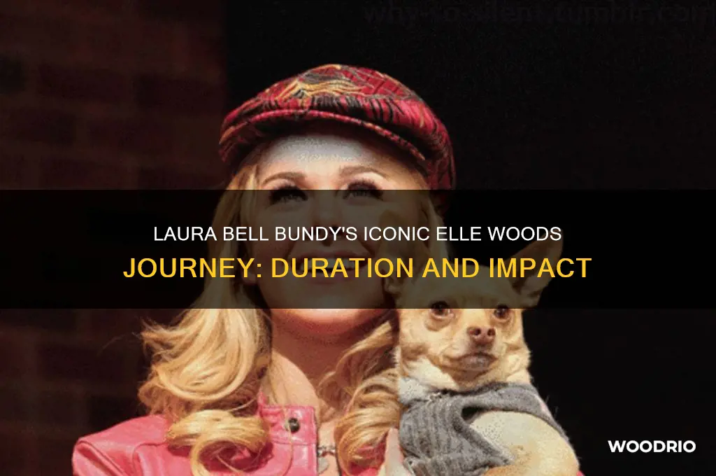 how long was laura bell bundy elle woods