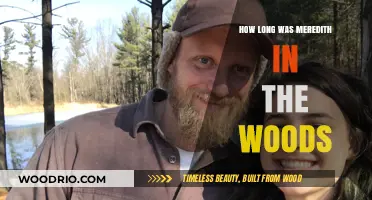 Meredith's Harrowing Survival: Time Lost in the Woods Explored
