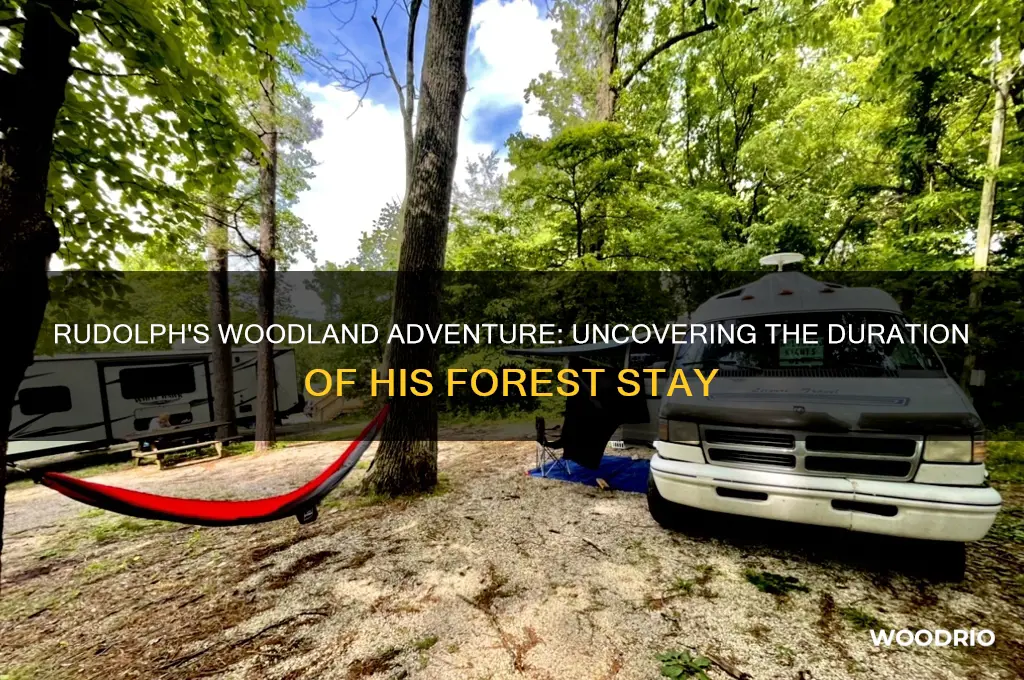 how long was rudolph in the woods